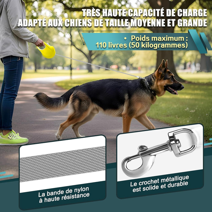 Ausziehbare Hundeleine 5m – Robuste Roll-Leine für kleine & mittlere Hunde – EIN-Hand-Bremssystem &