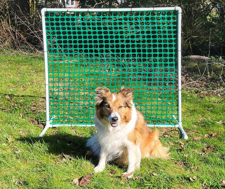 Generisch HOOPERS Agility Combi - Set / 1 Gate grün / 3 Hoopers Bögen, rot - blau - gelb/Gatter/Tren