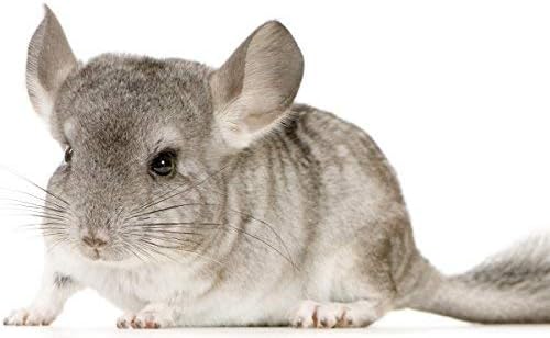 25kg Quarzsand Körnung 0,1-0,4 mm Filtersand schneeweiss Terrarien
