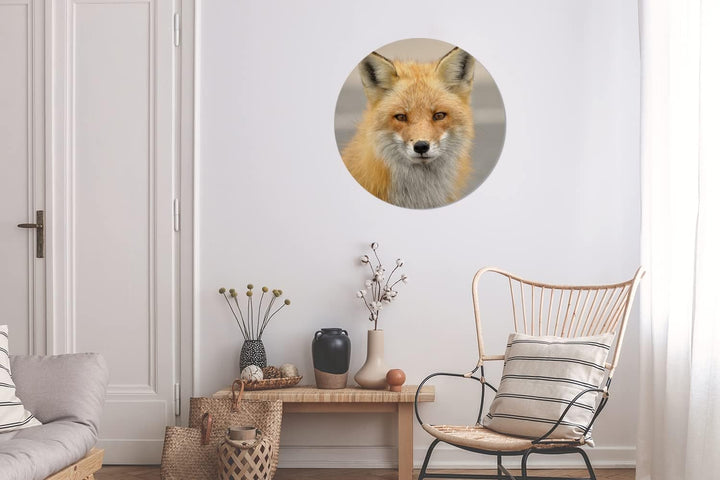Wandbild Rund Wanddeko Deko Wohnzimmer Bilder 60x60 cm Fuchs - Makro - Rot, 60x60 cm