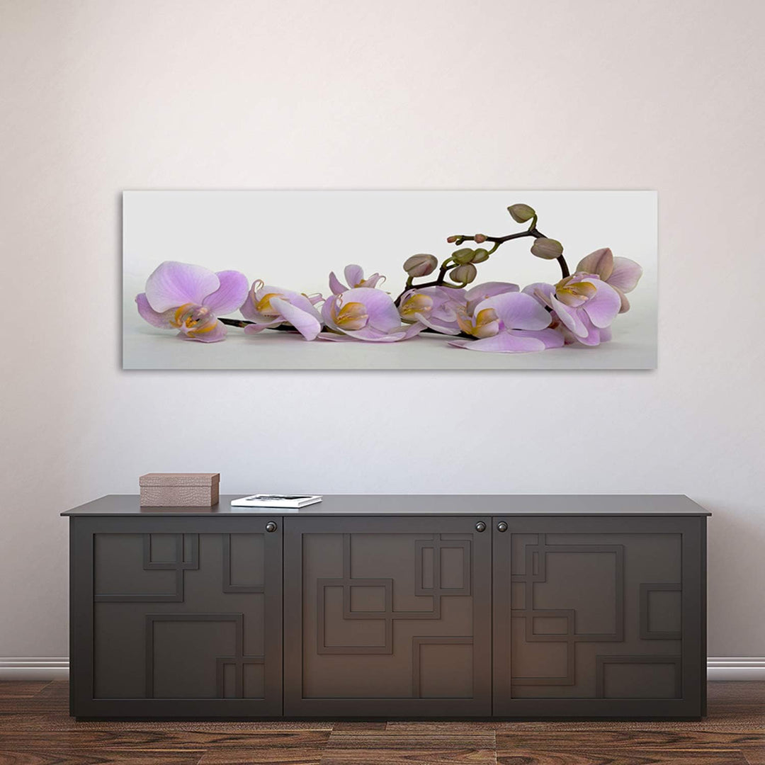 Feeby. Leinwandbild, Bilder, Wand Bild, Wandbilder, Kunstdruck 150x60 cm, ORCHIDEE, NATUR, VIOLETT