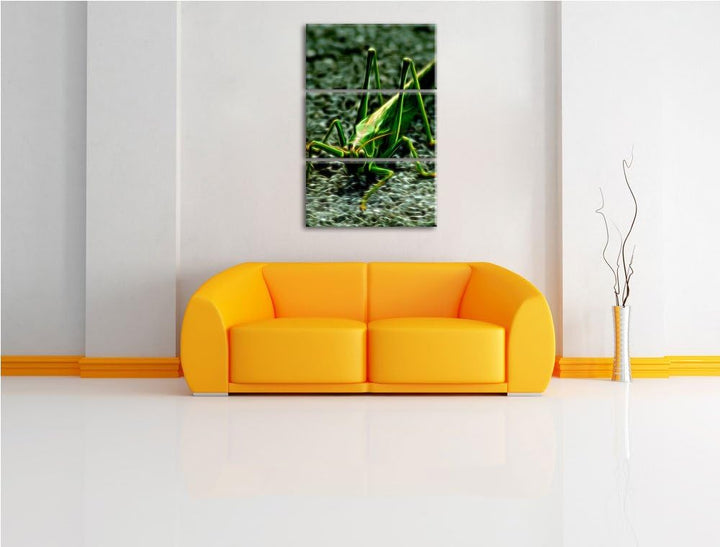 freche kleine Heuschrecke NewArt 3-Teiler Leinwandbild 120x80 Bild auf Leinwand, XXL riesige Bilder
