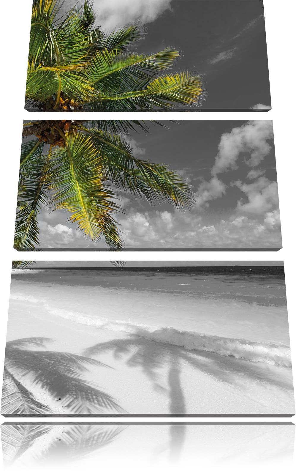 Pixxprint riesige Palem über Strand schwarz/weiss 3-Teiler Leinwandbild 120x80 Bild auf Leinwand