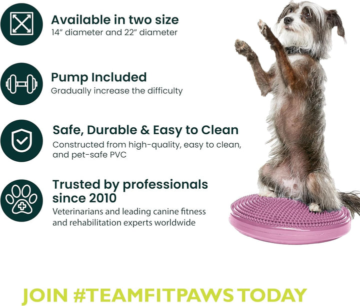 Fitpaws Balance-Disc für Hunde, 14", Violett
