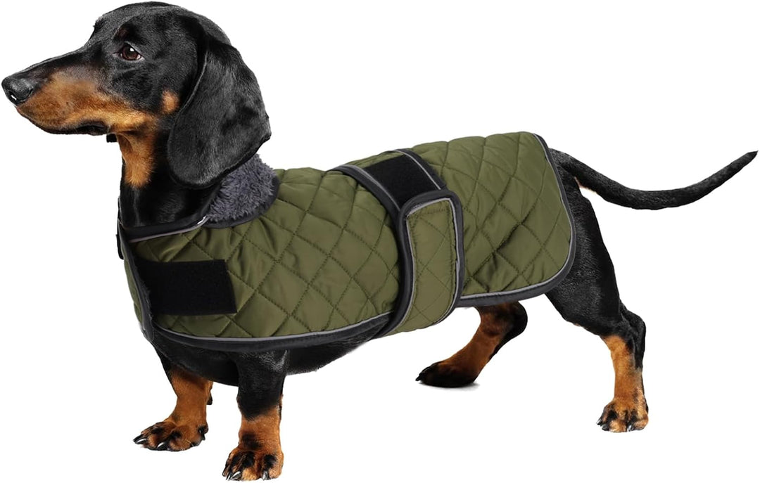 Geyecete - Warmer wintermantel für dackel Hunde,Hunde Winterjacken mit plüschfutter,Outdoor jacken m