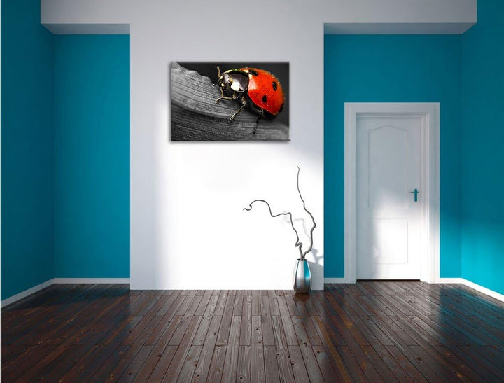 Pixxprint Marienkäfer in Detailaufnahme als Leinwandbild/Grösse: 100x70 / Wandbild/Kunstdruck/fertig