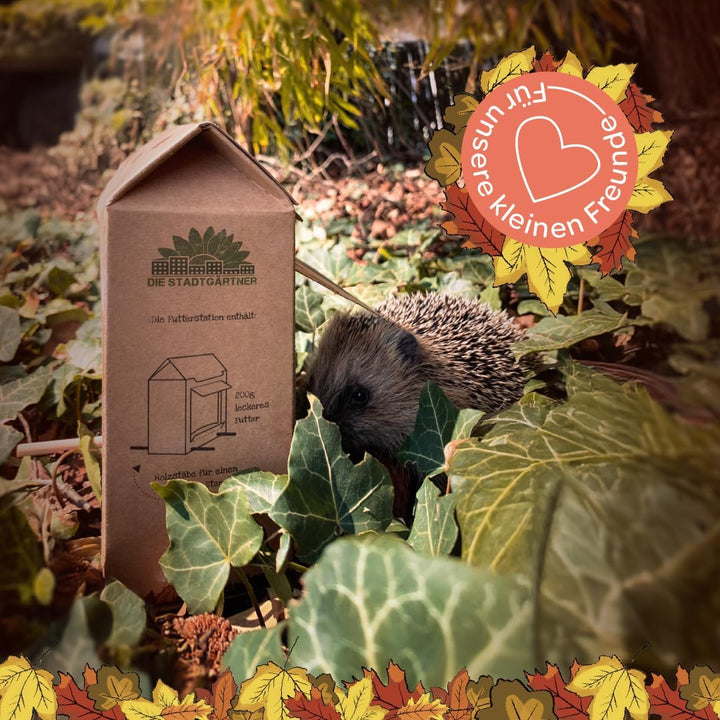 Die Stadtgärtner – Geschenkset Tierfutter I Mit Freiluftbuffet + kleine Mahlzeit für Vögel, Igel & E