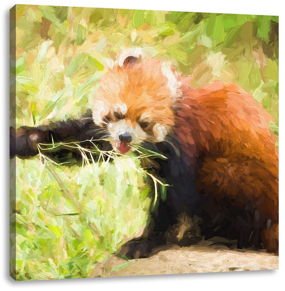 Pixxprint Niedlicher roter Panda als Leinwandbild/Grösse: 70x70 cm/Wandbild/Kunstdruck/fertig bespan