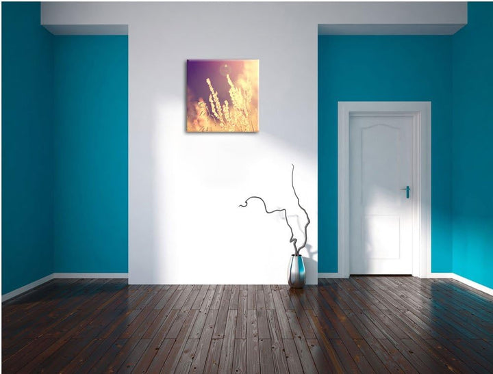 Gräser im Sonnenuntergang, Format: 70x70 auf Leinwand, XXL riesige Bilder fertig gerahmt mit Keilrah