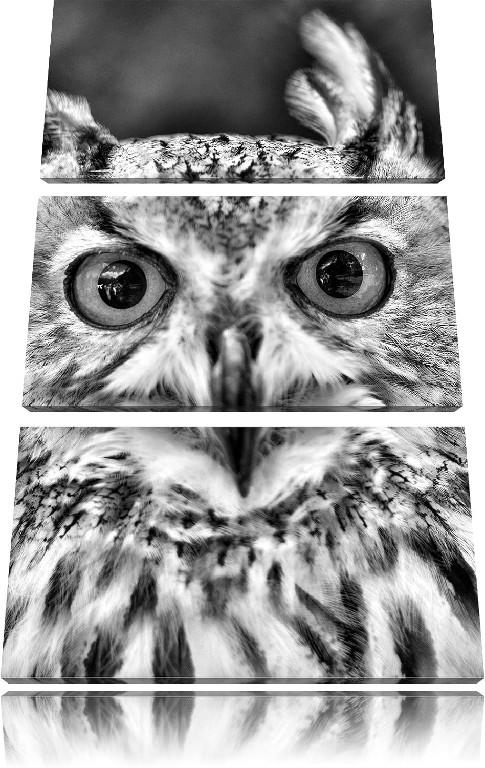 Pixxprint Eulen Kautz Orange Augen als Leinwandbild/Grösse: 3 Teilig (120x80) cm/Wandbild/Kunstdruck