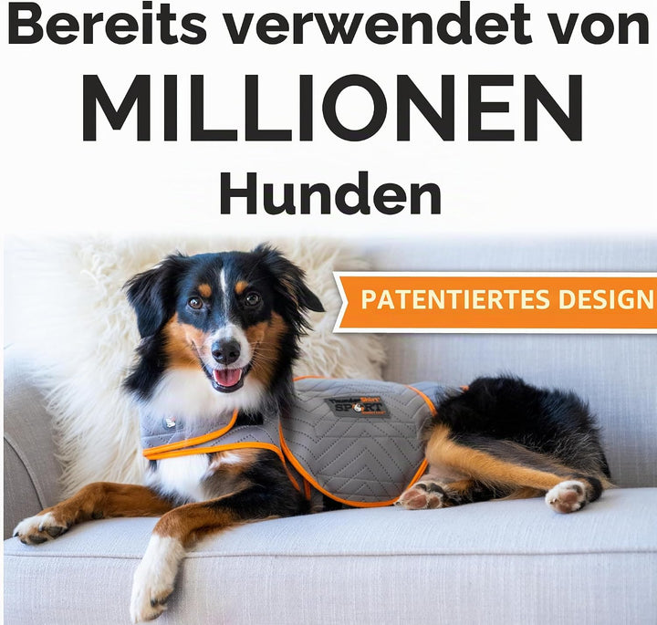 ThunderShirt Sport Hunde-Angstjacke, Platin, Grösse M Platin Medium, Platin Medium