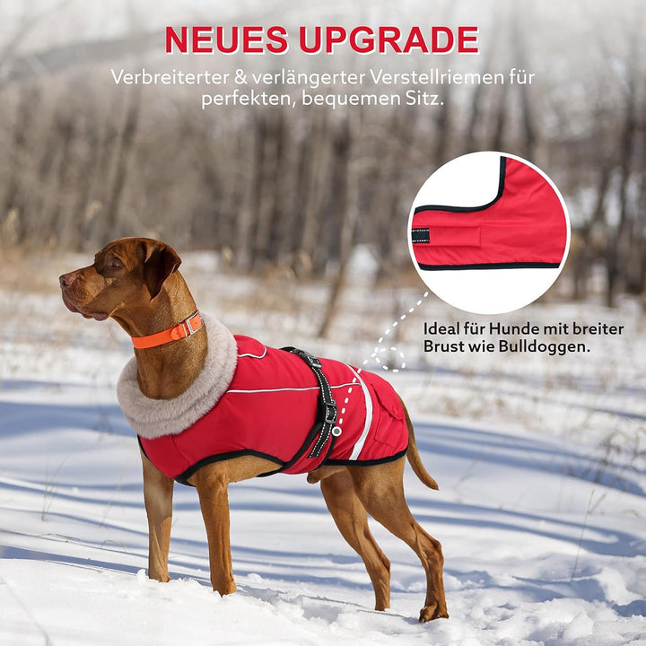 Hundemantel Winter, Hundemantel Wasserdicht für Kleine Hunde mit Verstellbaren Schultergurten, Warm