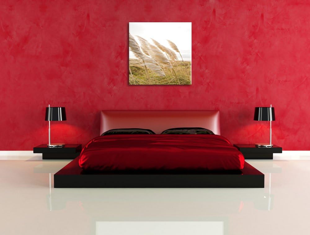 Pixxprint Schönes Schilf in den Dünen als Leinwandbild Quadratisch/Grösse: 70x70 / Wandbild/Kunstdru