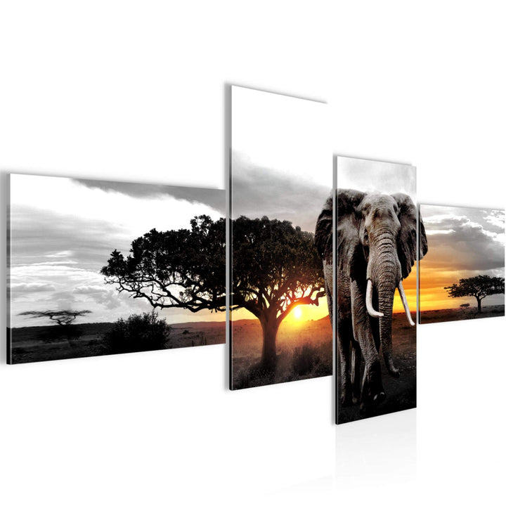 Runa Art Bild Modern Afrika Elefant - Made in Germany - Wandbilder Panorama Grau Orange 4 Teilig 001