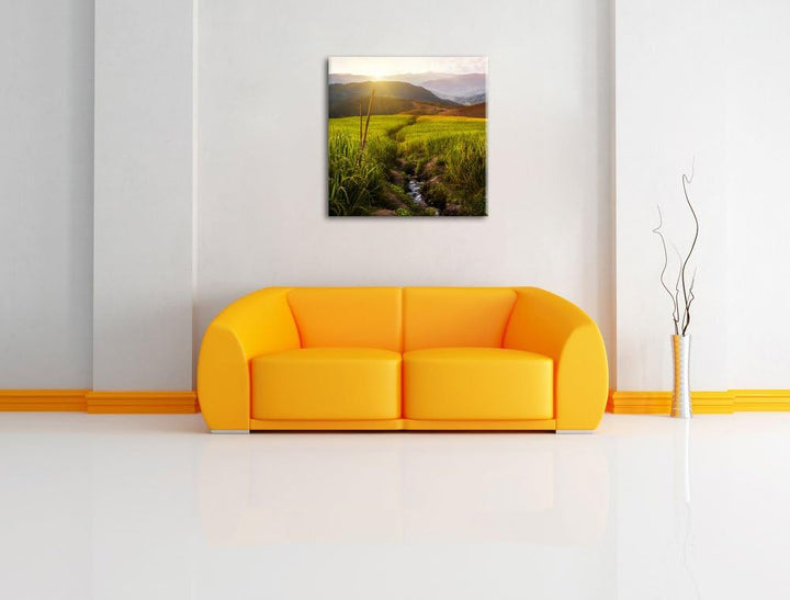 Reisfeld Plantage in Asien, Format: 70x70 auf Leinwand, XXL riesige Bilder fertig gerahmt mit Keilra