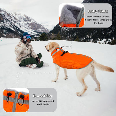 Hjumarayan Hundemantel für Kleine Hunde - Winter mit Geschirr Wintermantel Wasserdicht Mantel Gefütt