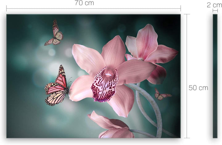 ge Bildet Bild auf Leinwand | Orchideen mit Schmetterlingen - natur blumen K in 70x50 cm als Wandbil