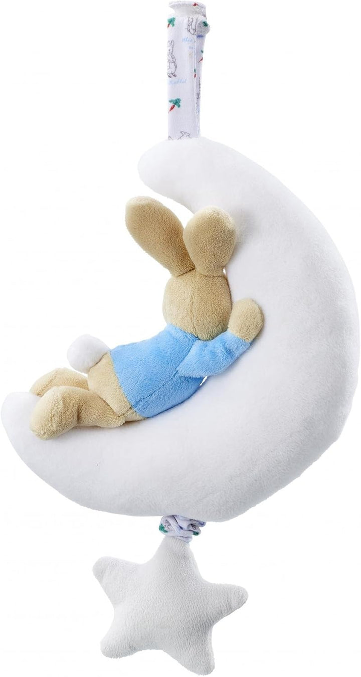 PETER RABBIT - PETER RABBIT Night Night Musical