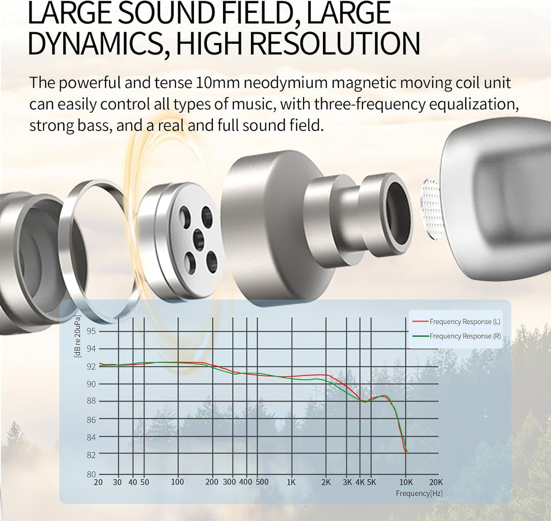 SoundMAGIC E80D Typ-C Ohrhörer mit Mikro, High-Res-DAC, Hi-Fi, Dunkelsilber | Glasklare Anrufe, High