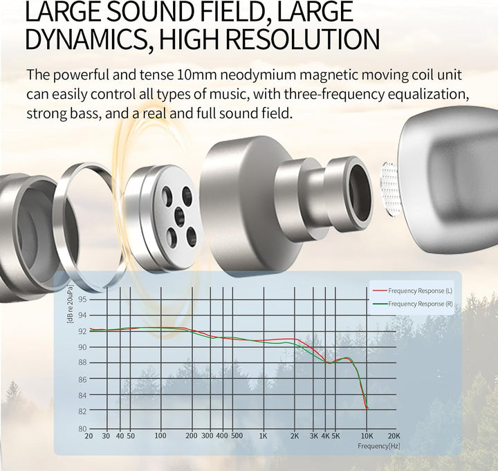 SoundMAGIC E80D Typ-C Ohrhörer mit Mikro, High-Res-DAC, Hi-Fi, Dunkelsilber | Glasklare Anrufe, High