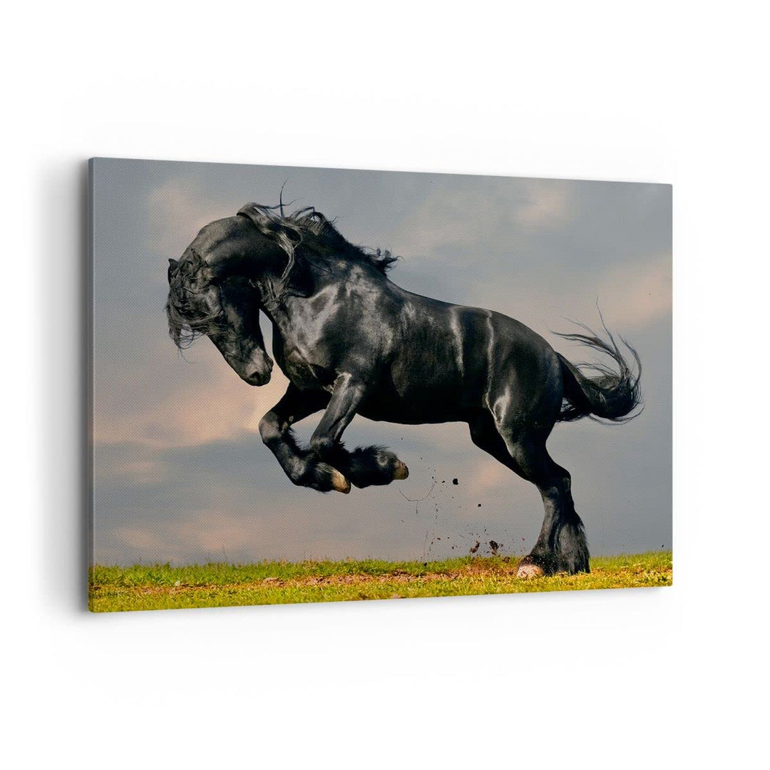 Bilder auf Leinwand 100x70cm Leinwandbild Wolke Pferd Wiese Natur Gross Wanddeko Bild Schlafzimmer K