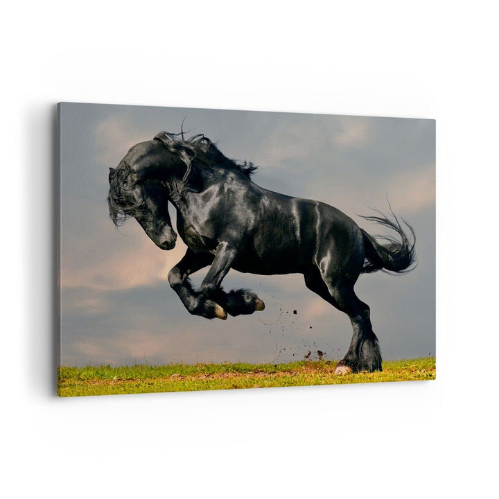 Bilder auf Leinwand 100x70cm Leinwandbild Wolke Pferd Wiese Natur Gross Wanddeko Bild Schlafzimmer K