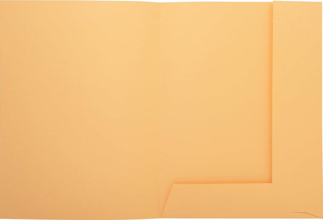 Exacompta 335002E Packung mit 50 Aktenmappen Super, 2 Klappen, Karton 210g/qm, praktisch und robust,