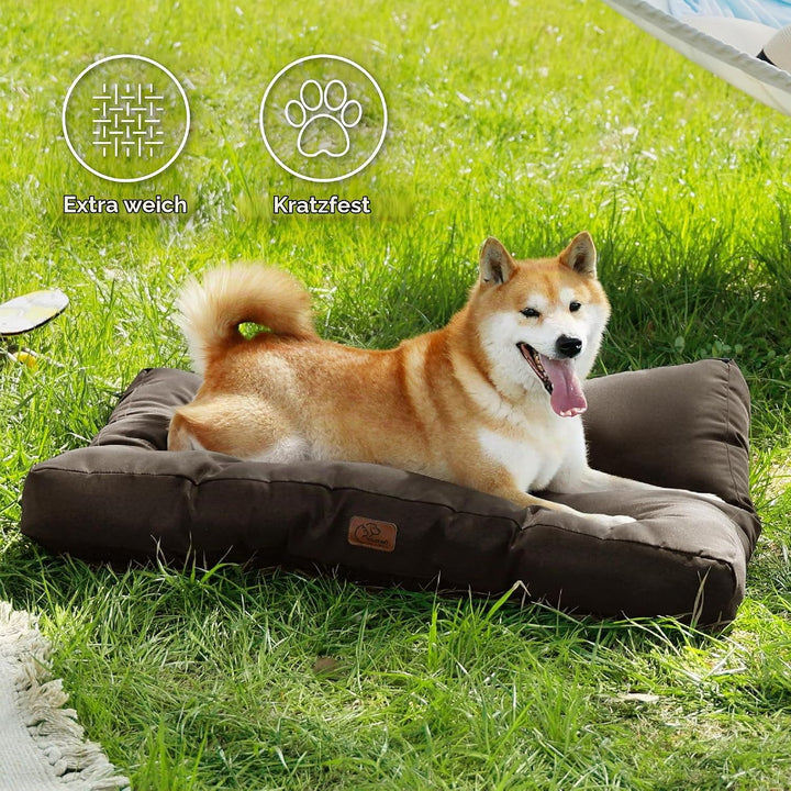 BEDSURE Hundekissen kleine Hunde waschbar - 76x50cm hundematratze wasserdicht M für kleine, mittelgr
