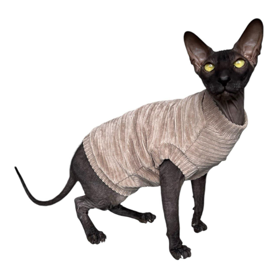 Kotomoda Katzen-T-Shirt aus Cord fьr Sphynx und nackte Katzen (Medium, Taupe) mittel taupe, mittel t