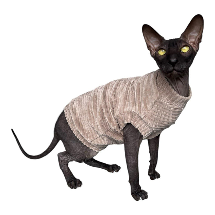 Kotomoda Katzen-T-Shirt aus Cord fьr Sphynx und nackte Katzen (klein, Taupe) Small taupe, Small taup