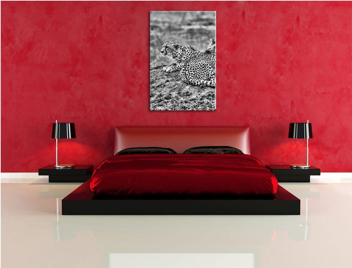 Pixxprint Monocrome, prächtige Geparden auf Stein, Format: 100x70 auf Leinwand, riesige Bilder ferti