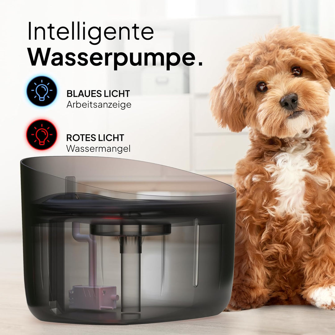 Pretty PAW® Trinkbrunnen für Hunde I Super leiser Hunde Trinkbrunnen mit 7 Liter Wassertank I BPA-fr