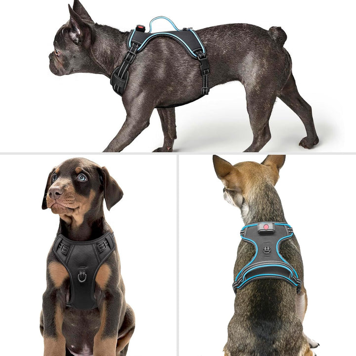 Hundegeschirr Leuchtend Wiederaufladbares Leuchtgeschirr für Hunde Led Beleuchtetes Hundegeschirr fü