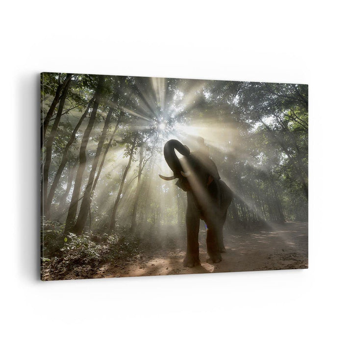 Bilder auf Leinwand 100x70cm Leinwandbild mit Rahmen Elefant Dschungel Gross Wanddeko Bild Schlafzim