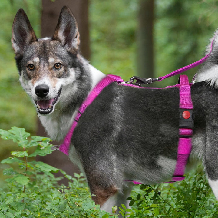 TSPRO Taktisches No-Pull Schwerlast-Hundegeschirr mit Griff &amp; Schnellöffnungsverschluss, Stabil Adju
