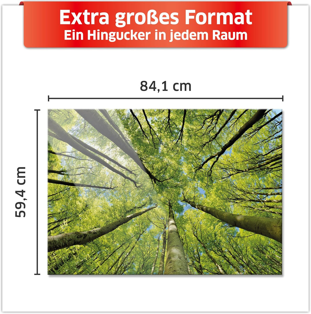 Primus Print - Wandbild Glasbild - Acrylglas Aludibond (Acryl, Bäume 84,1x59,4 cm) Acryl Bäume, Acry