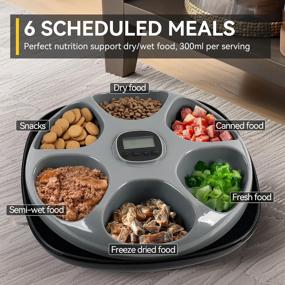 All for Paws Automatischer Katzenfutterautomat Kabellos – für Nass &Trockenfutter mit 2 Kühlakkus, F