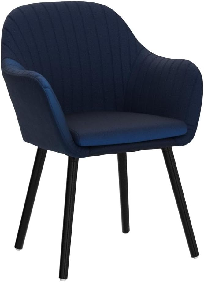 WOLTU Esszimmerstühle 2er Set, für Schlafzimmer Küche Wohnzimmer, Küchenstühle gepolstert mit Armleh