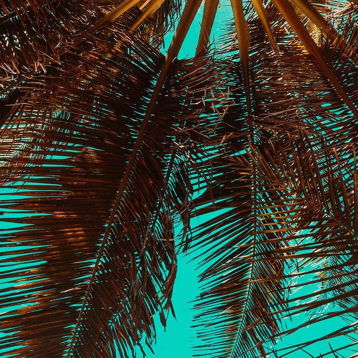 Feeby Bild auf Leinwand Palme 5 Teilig Modern Natur Exotik Himmel Retro blau 200x100 cm Leinwandbild