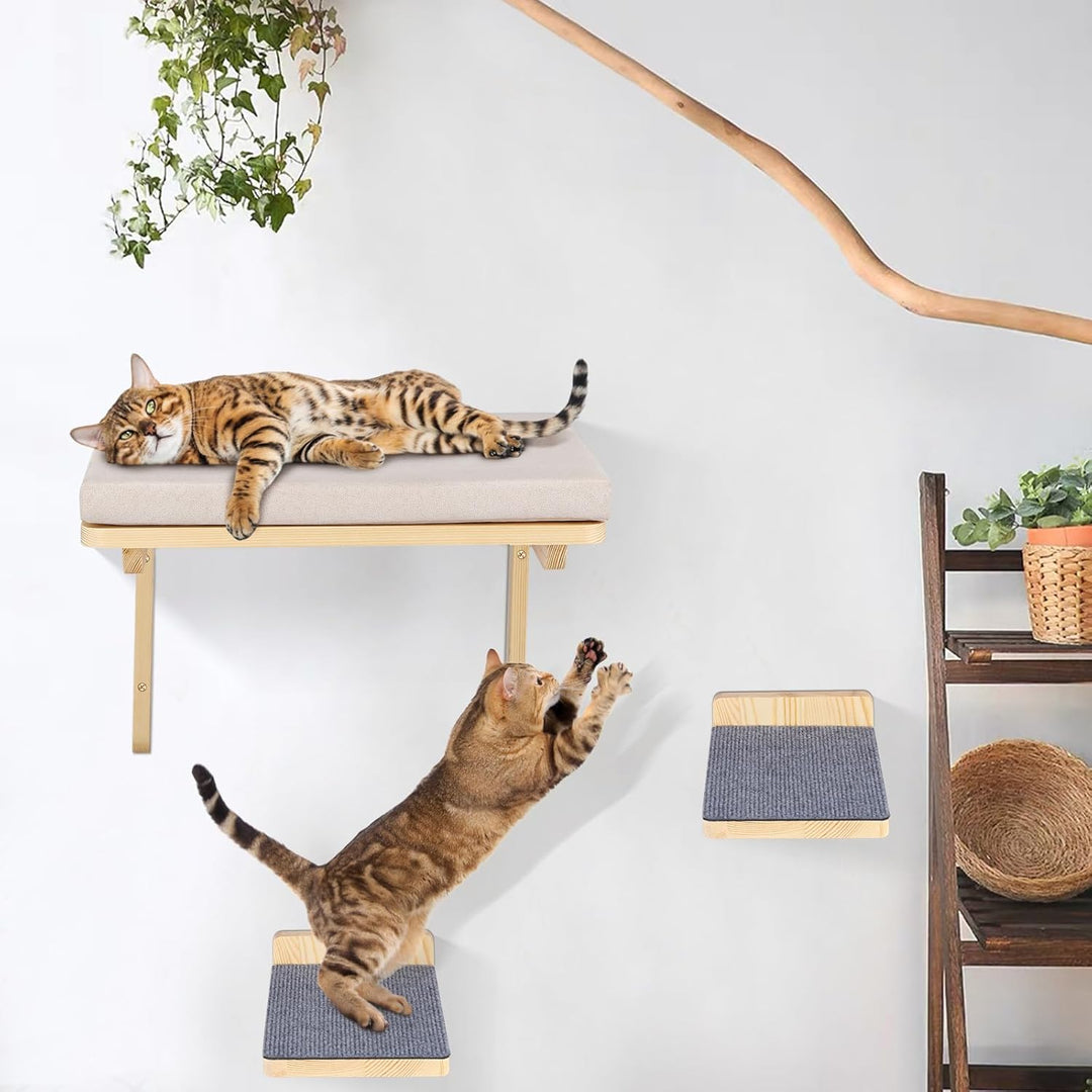 Kletterwand Katzen inkl,2X Katzentreppe Wand,Massivholz,Kratzbaum Wand,Hängematte Katze,Katzenwand,W