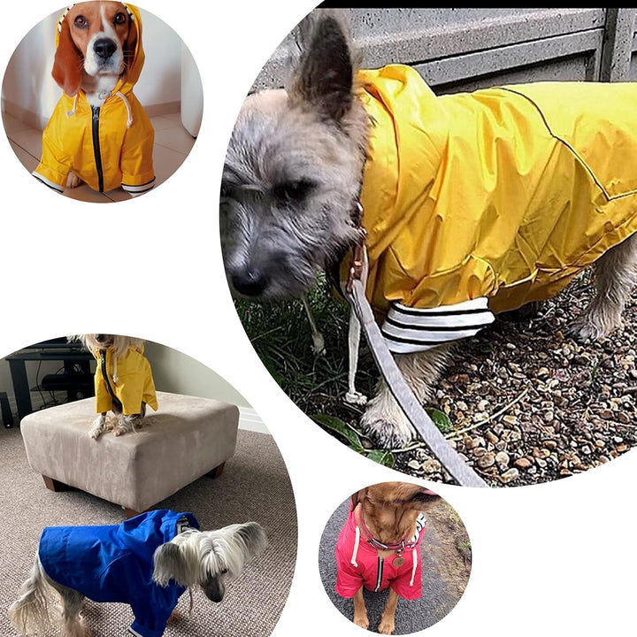 Pethiy Premium hunderegenmantel,Wasserdicht Hundemantel mit Kapuze Hundebekleidung Hunde Regenjacken