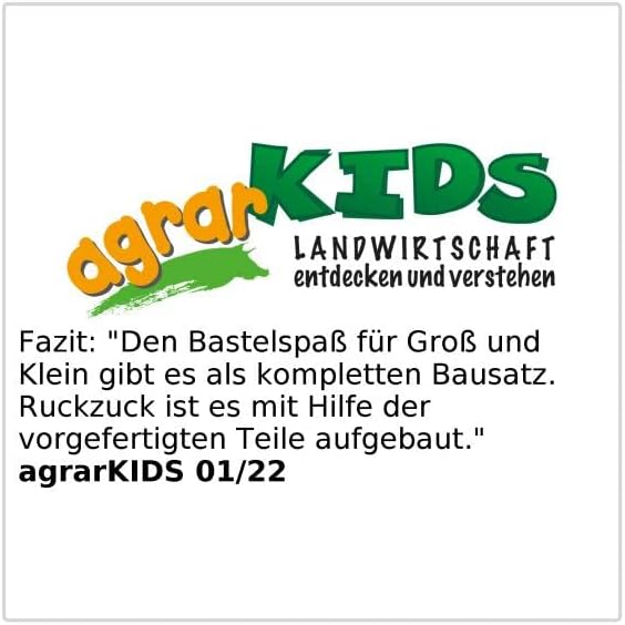 Royal Gardineer Igel Futterhaus Bausatz: Wetterfestes Igelhaus, unbehandeltes Tannenholz, ganzjährig