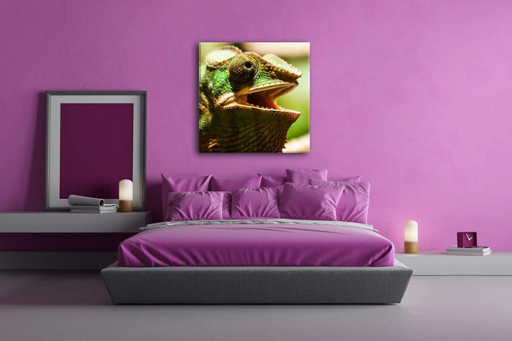 deyoli lustiges Chamäleon Format: 60x60 als Leinwand, Motiv fertig gerahmt auf Echtholzrahmen, Hochw