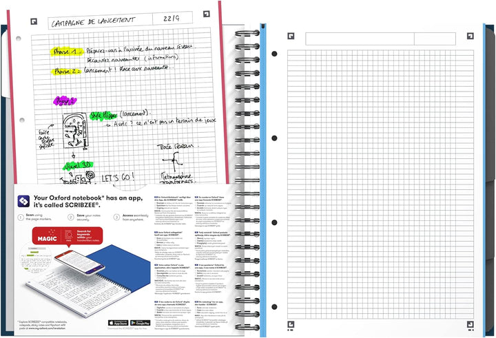 Oxford Collegeblock A4, kariert, 240 Seiten, European Book, 3 Register, 4 Farben, 5 Stück, A4, karie