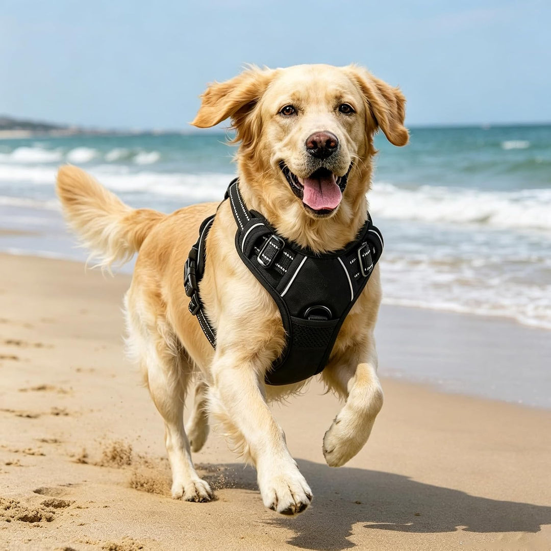 Hundegeschirr Verstellbar 38-89cm Brust Reflektierend | Doppelzugpunkte Vorne &amp; Hinten, Polyester Ne