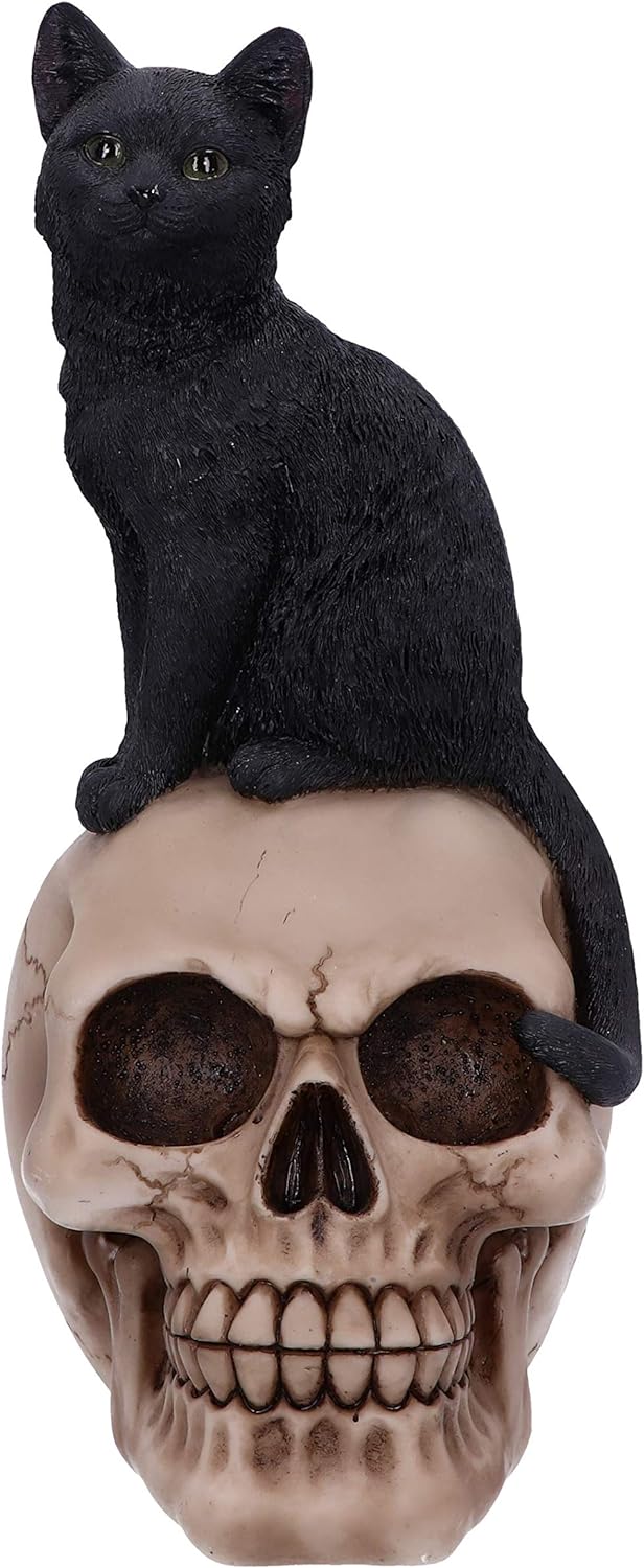 Nemesis Now Familiar Fate Dekofigur Hexen, Katze und Totenkopf, 24,3 cm