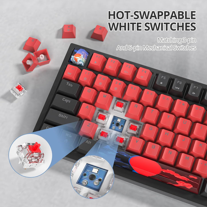 SOLIDEE Verkabelte 75% Mechanische Gaming-Tastatur,hot-swap-fähige Mechanische Tastatur mit Gasket S