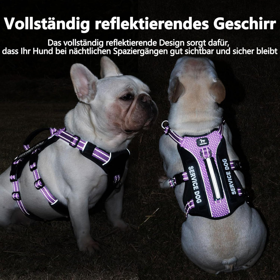 Huntboo Hundegeschirr Mittelgrosse Hunde, Sicherheitsgeschirr Hund Ausbruchsicher mit 6 Patches, Ser