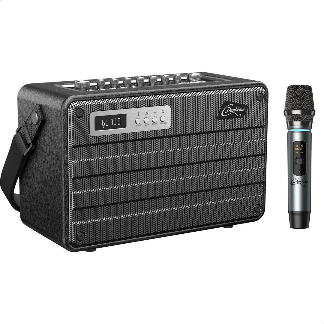 C.Perkins - ROADY-FL - Das professionelle 100W batteriebetriebene ALL-IN-ONE mit 1 drahtlosen UHF-Mi