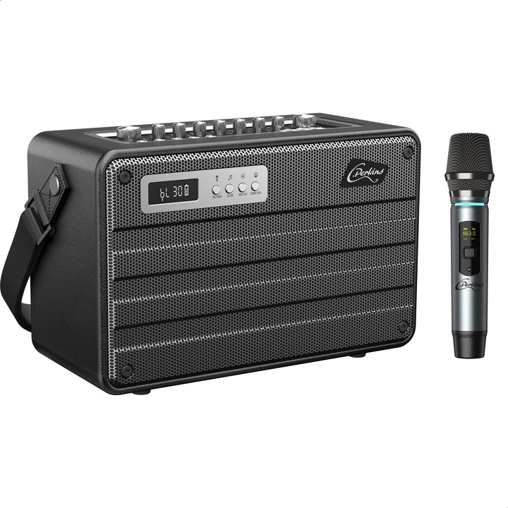 C.Perkins - ROADY-FL - Das professionelle 100W batteriebetriebene ALL-IN-ONE mit 1 drahtlosen UHF-Mi